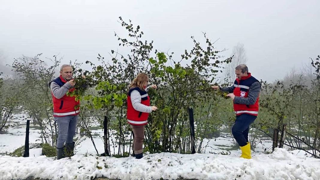 Tarımda tarihin en büyük felaketi yaşanıyor! Meyve, sebze fiyatlarında rekor artış yaşanacak 39